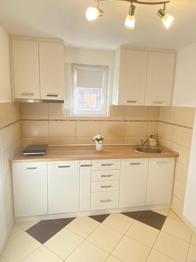 Apartman Mina Mataruska Banja Exteriör bild