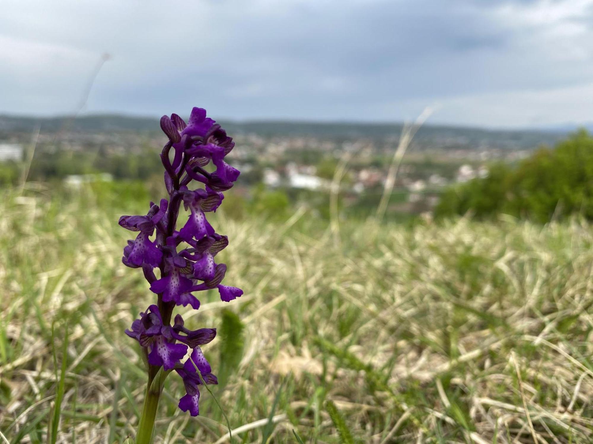 Apartman Mina Mataruska Banja Exteriör bild